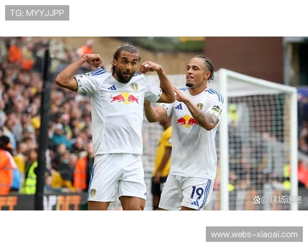 英超保级形势分析：伯恩利、利兹联、狼队陷入苦战