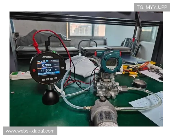 自动化校对工具提升多语种内容质量 自动化校对工具提升多语种内容质量