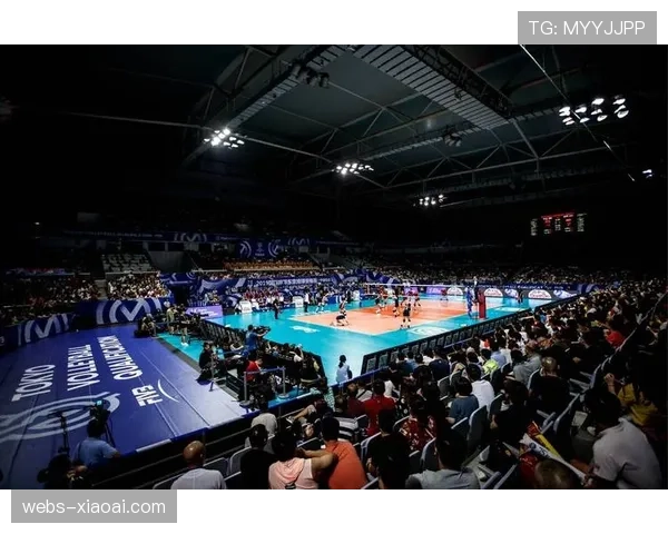 排球赛事版权价值待挖掘，联赛市场化培育成发展关键