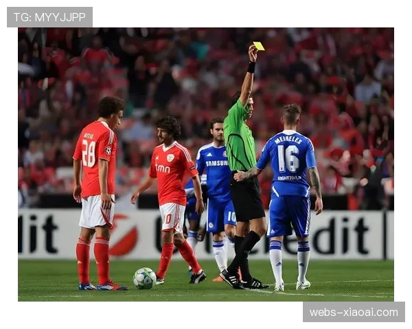 球迷行为处罚常态化，法甲主场攻防环境管理加强